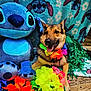 Lilo joined the competition — help win amazing prizes! dog, german_shepherd, plush_toy, stitch, flower_lei, colorful_flowers, blanket, wooden_floor, pet, outdoor, smiling_dog, decor, stuffed_animal, tropical_theme, playful, leisure, portrait, animal, costume, cute