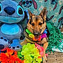 dog, german_shepherd, plush_toy, stitch, lei, flower_garland, bench, blanket, outdoor, wood, colorful, summer, pet, animal, tongue_out, greenery, cute, festival, decor, relaxing