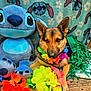dog, german_shepherd, plush_toy, stuffed_animal, stitch_character, blanket, floral_lei, green_fringes, wooden_bench, outdoor, festive, colorful, pet, animal, cute, portrait, summer, leisure, decor, relaxed
