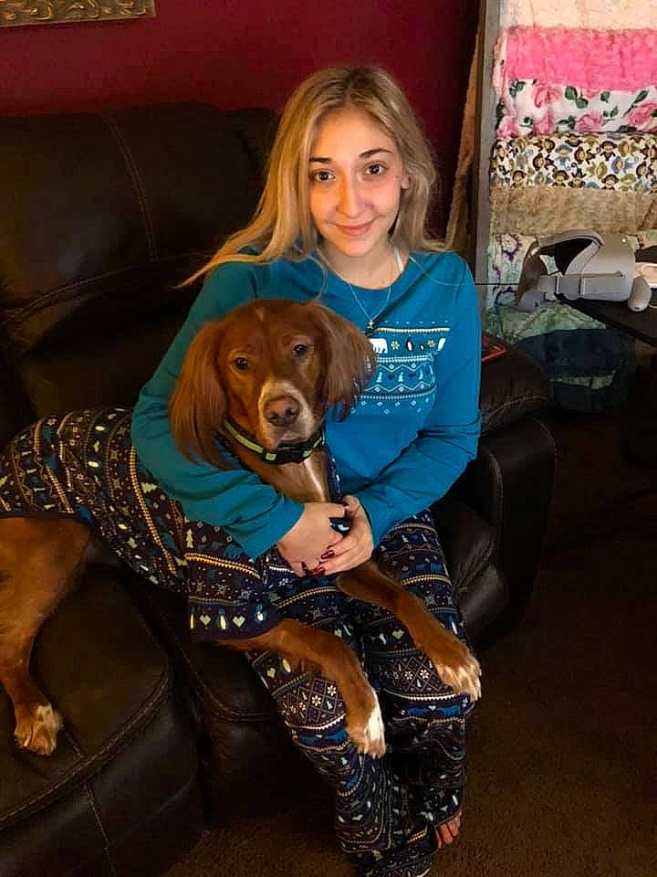 Robbie joined the competition — help win amazing prizes! canidae, carnivore, companion_dog, dog, dog_breed, puppy, sitting, spaniel, sporting_group