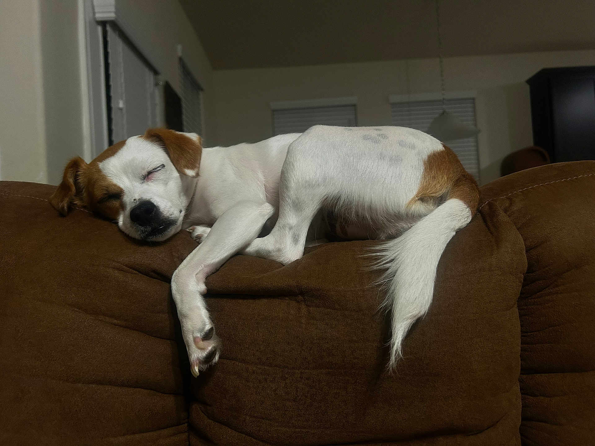 Remington