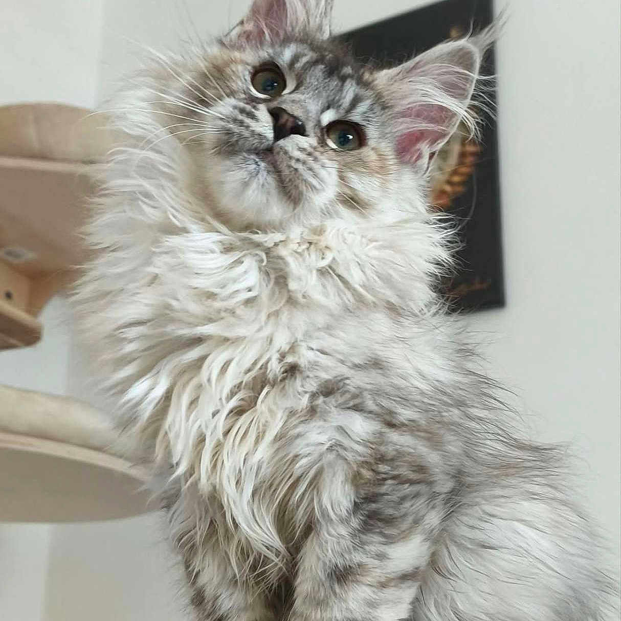 Baïka