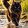 Athos