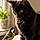 Athos