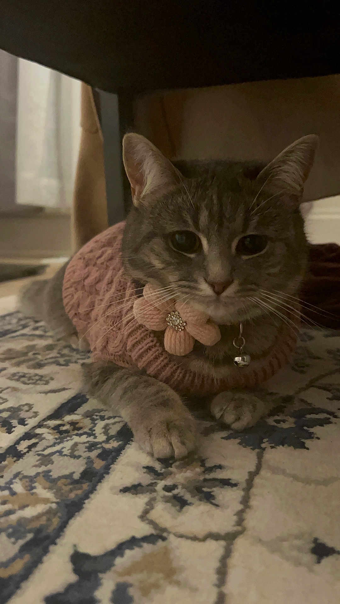 Meera
