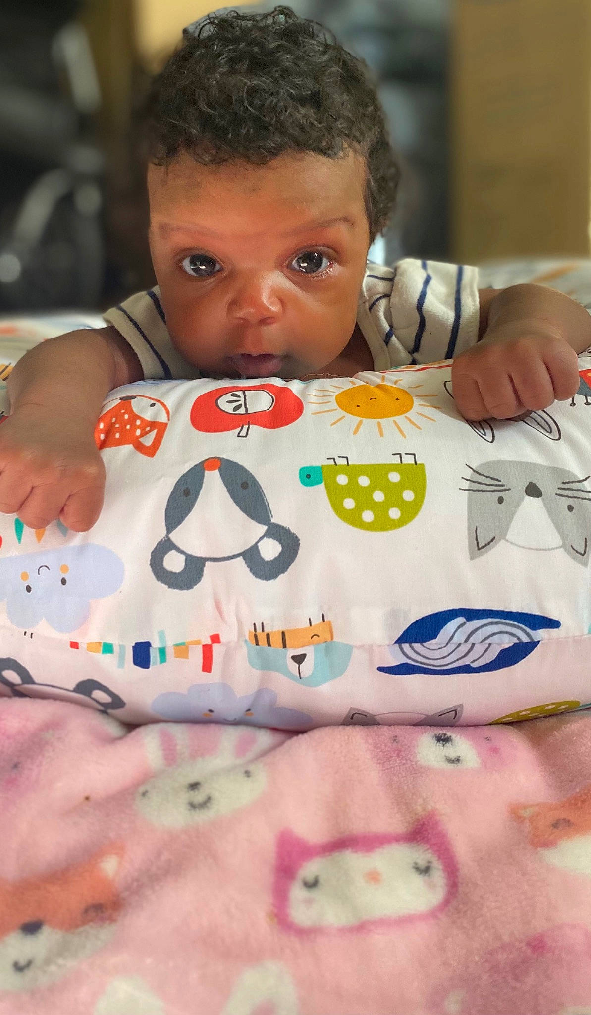 Hazel is registered to the contest to win money with this photo: baby, baby_toddler_clothing, carmine, chair, cheek, child, comfort, face, fun, happy, linens, mouth, pattern, person, sitting, skin, sleeve, t_shirt, textile, toddler