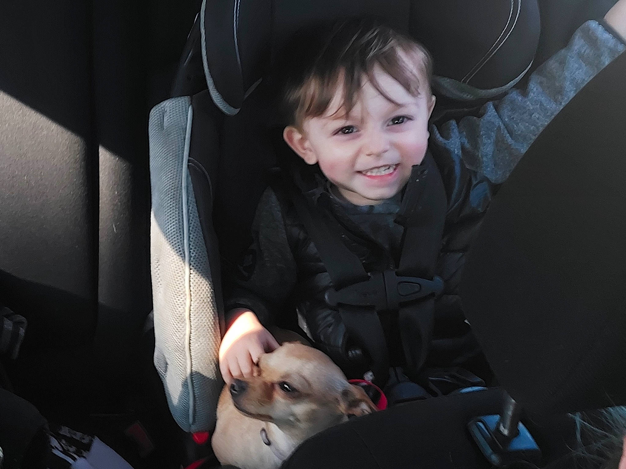 Alexys participe au concours pour gagner de l'argent avec cette photo : auto_part, automotive_design, baby, car_seat, comfort, dog, family_car, flash_photography, fun, joy, luxury_vehicle, motor_vehicle, mouth, person, personal_luxury_car, seat_belt, sitting, skin, smile, steering_wheel