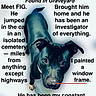 dog, black_dog, pet, animal, canine, looking_up, nose, collar, standing, text_overlay, story_text, red_arrow, background, isolated, companion, friendship, portrait, close_up, head, eyes