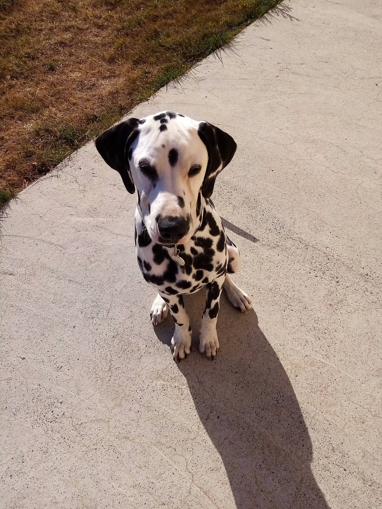 Paco