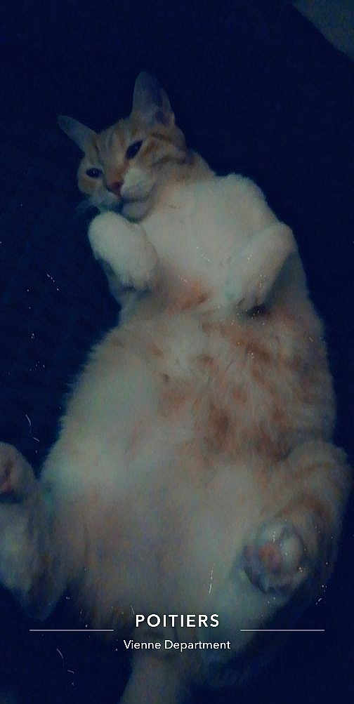 Sanka