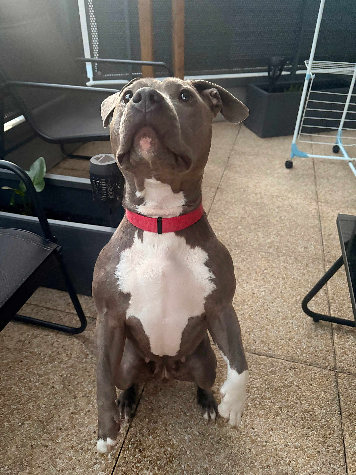 Lena