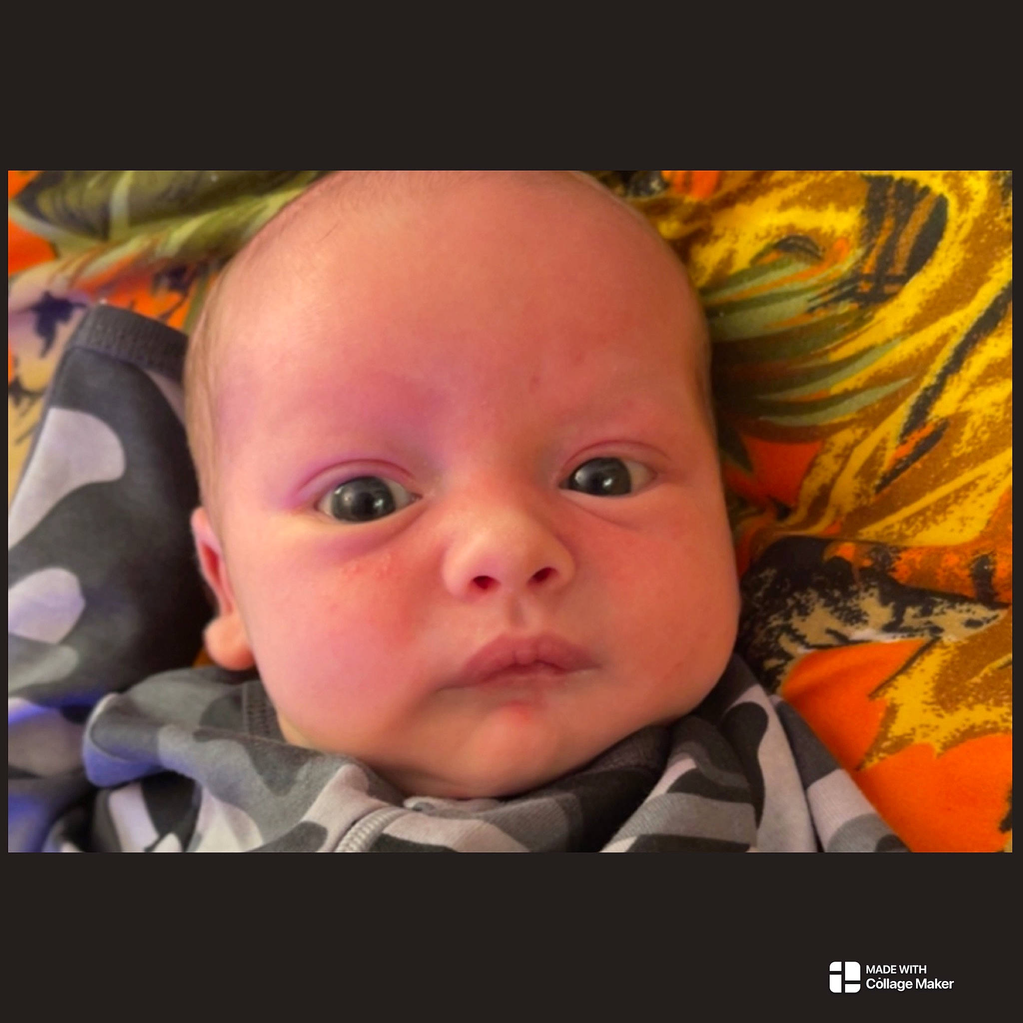 Billy joined the competition — help win amazing prizes! baby, baby_products, baby_safety, baby_toddler_clothing, cheek, child, comfort, eyelash, flash_photography, happy, iris, linens, nose, pattern, person, photo_caption, plant, portrait_photography, selfie, toddler