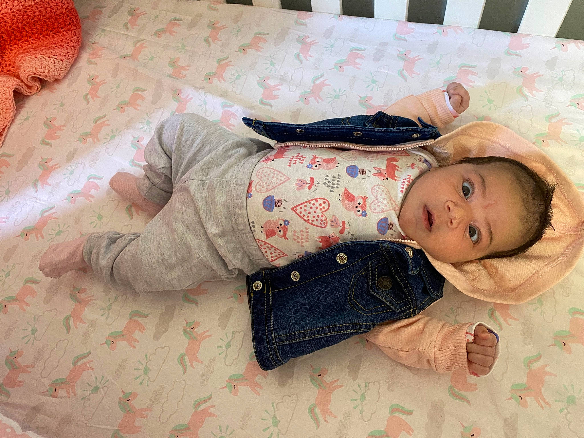 Raven joined the competition — help win amazing prizes! baby, bedtime, child, cool, electronic_device, gadget, hand, happy, human, nap, person, photography, play, product, selfie, sleep, technology, toddler