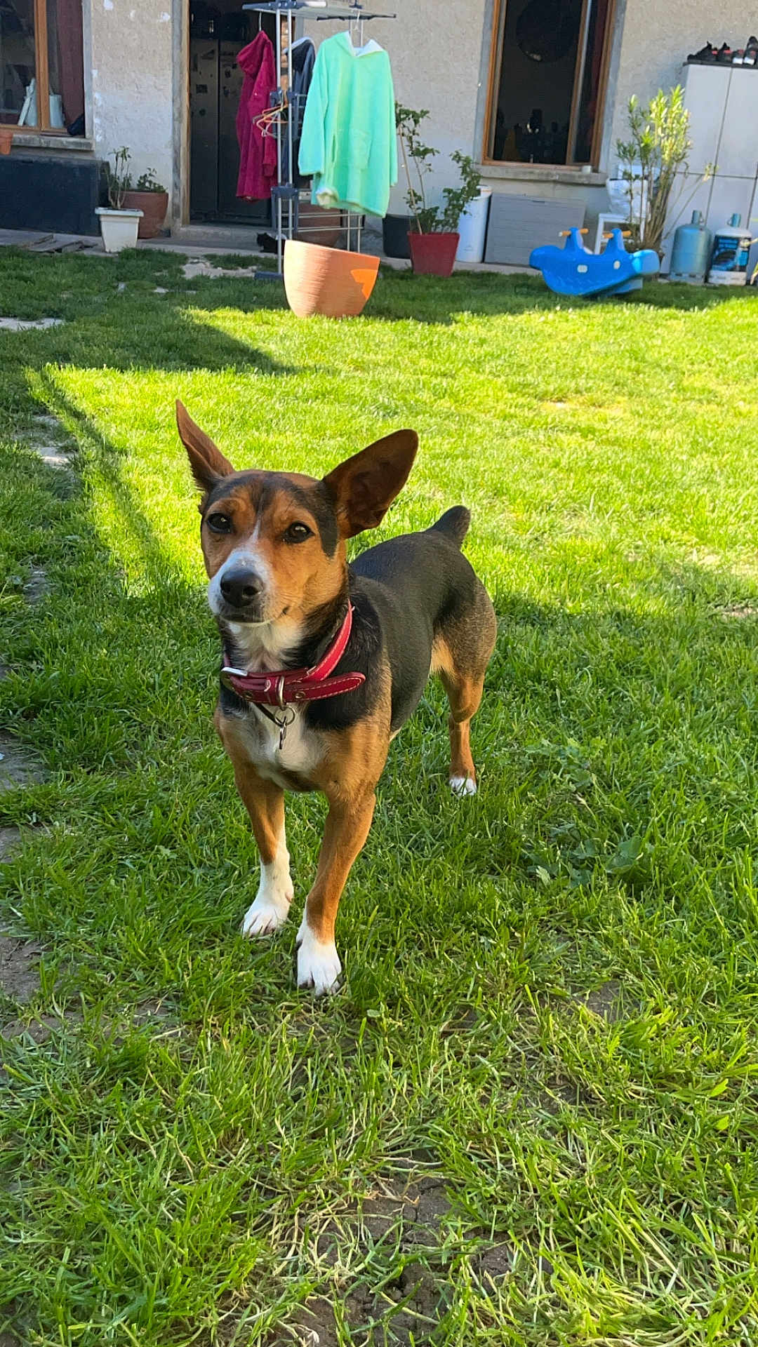 Milla