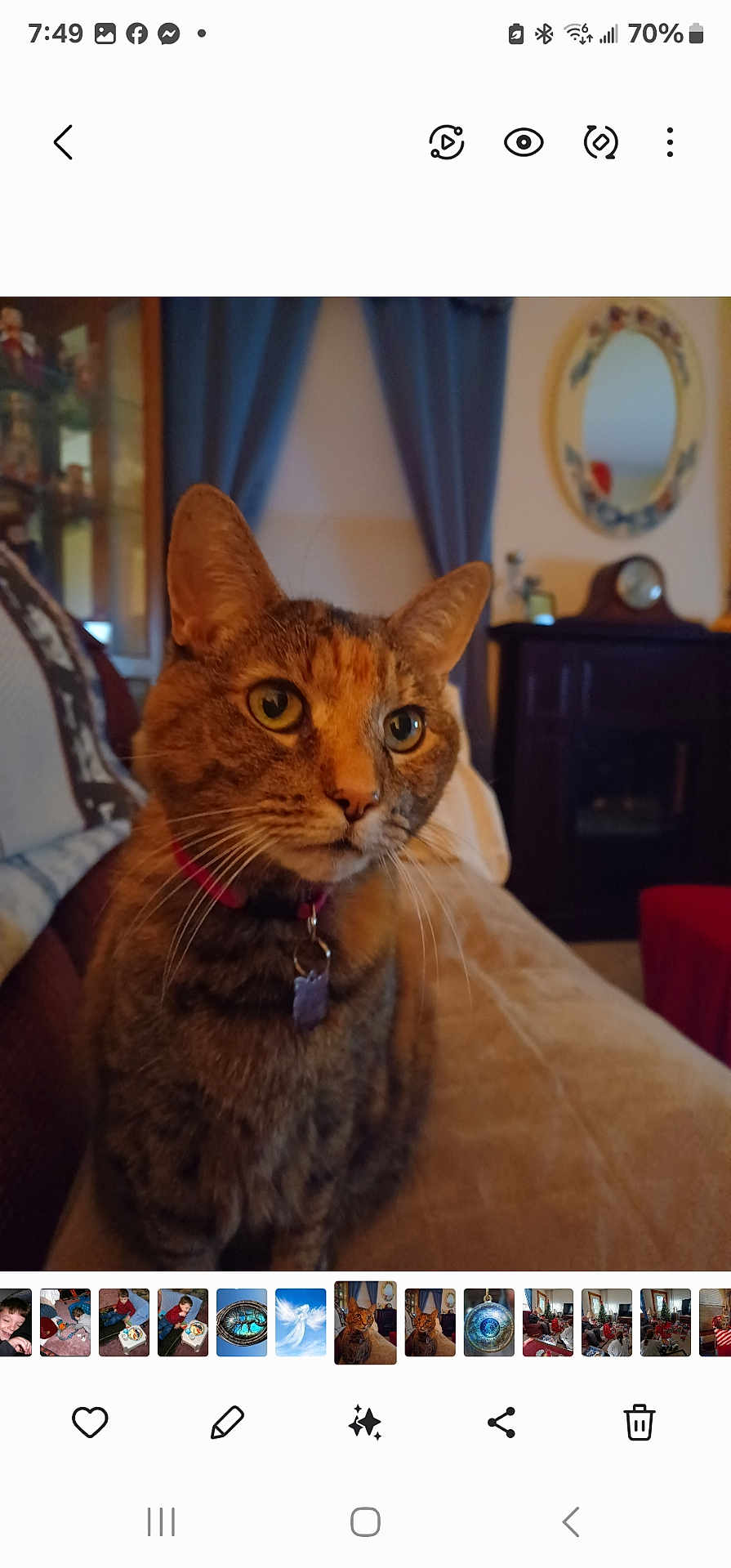 Mindy is registered to the contest to win money with this photo: cat, tabby, pet, feline, collar, tag, whiskers, eyes, fur, indoor, couch, living_room, mirror, curtain, portrait, close_up, sitting, cozy, warm_lighting, furniture