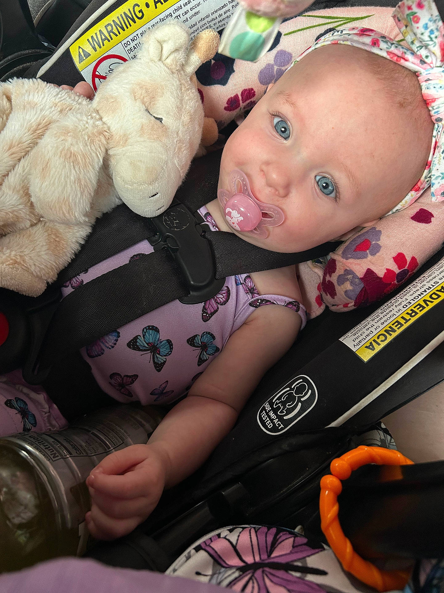 Holly joined the competition — help win amazing prizes! baby, bodypart, clothing, cushion, face, finger, gun, hand, hat, head, homedecor, mouth, person, photography, plush, portrait, stroller, teddybear, toy, weapon