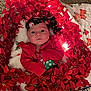 Cheyenne is registered to the contest to win money with this photo: baby, infant, red_clothing, headband, poinsettia, holiday_decor, tinsel, blanket, carpet, face, child, indoors, cute, festive, christmas, portrait, young_child, smiling, holiday, cozy