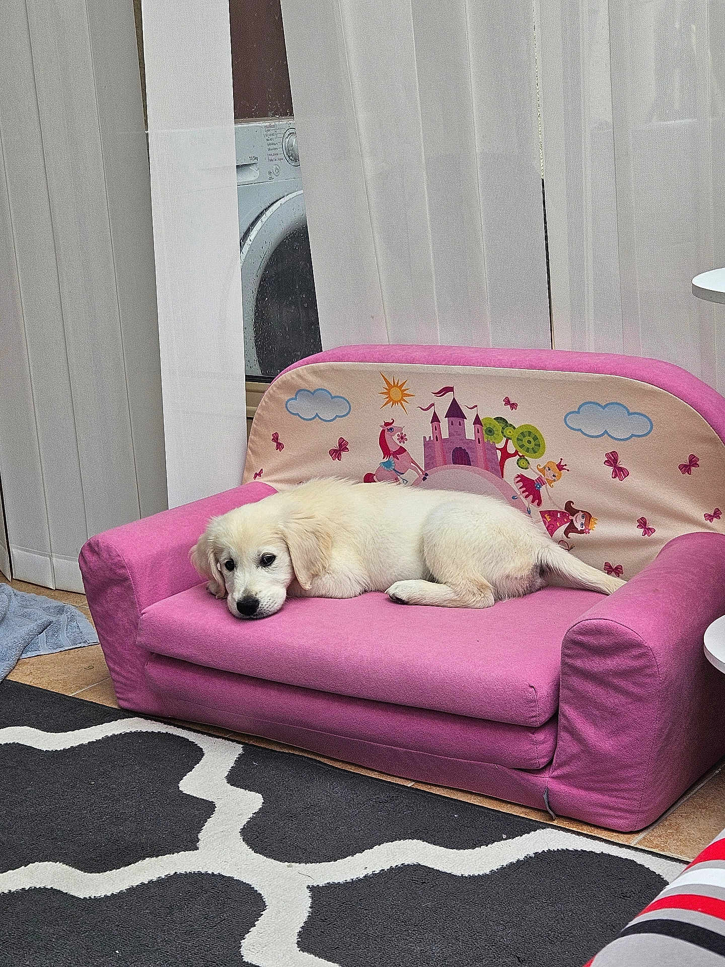 Alf a rejoint le concours — aidez-le/la à gagner de superbes lots ! puppy, dog, white_dog, pink_couch, children_furniture, princess_theme, castle_illustration, butterflies, indoor, curtains, rug, floor, home, cozy, pet, relaxing, laying_down, small_sofa, cute, animal