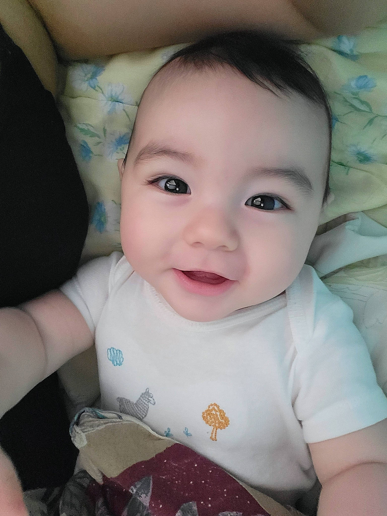 Riku is registered to the contest to win money with this photo: baby, baby_toddler_clothing, cheek, child, comfort, eyebrow, eyelash, flash_photography, happy, iris, lip, nose, pattern, person, portrait_photography, sitting, skin, sleeve, smile, t_shirt