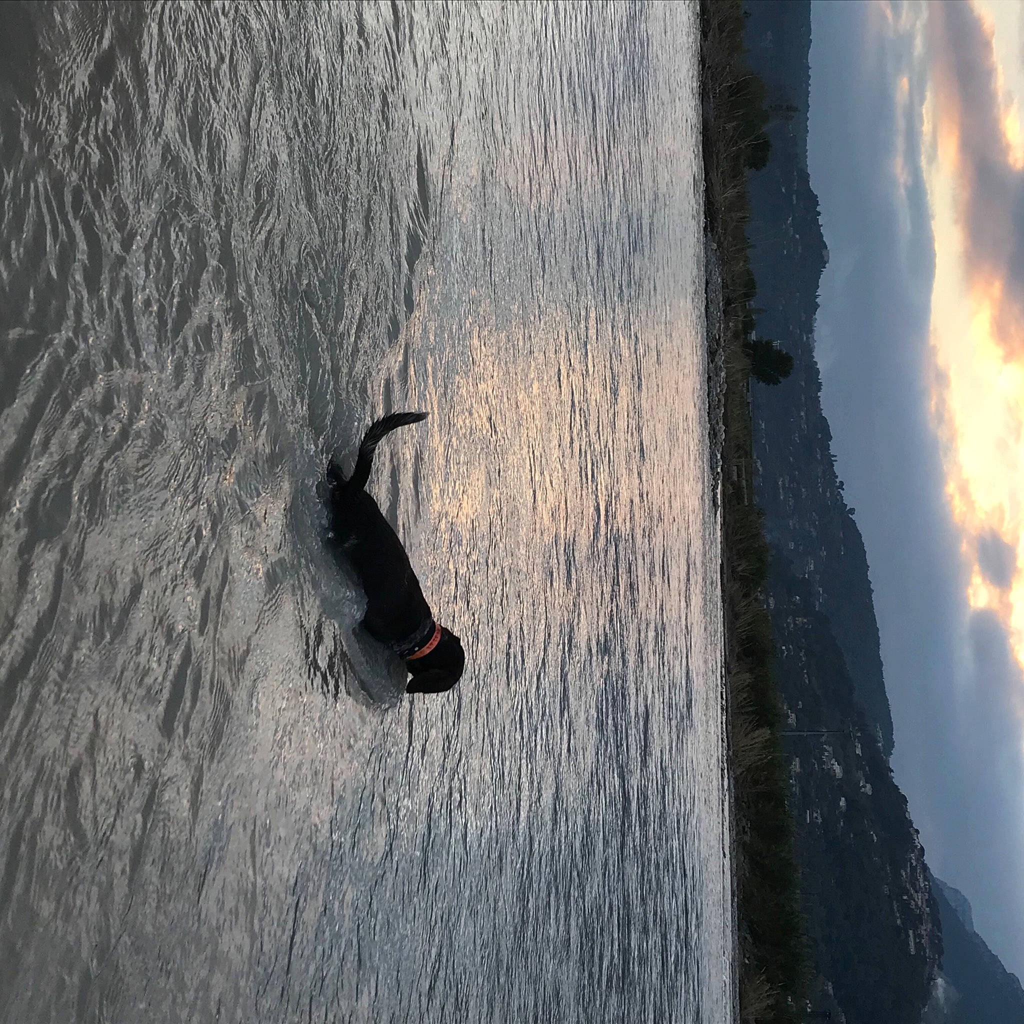 Paco a rejoint le concours — aidez-le/la à gagner de superbes lots ! adventure, atmosphere, body_of_water, calm, cloud, geology, grey, lake, landscape, recreation, reflection, rock, shadow, sky, tints_and_shades, tree, water, water_resources, watercourse, wood