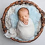Raylan is registered to the contest to win money with this photo: newborn, baby, sleeping, basket, blanket, swaddle, cozy, soft, cute, infant, portrait, peaceful, hands, head, cushion, blue, white, texture, wrapped, resting