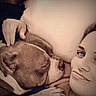Vinnie joined the competition — help win amazing prizes! affection, animal, blue_eyes, close_up, companion, cozy, cuddle, dog, expression, face, friendship, hand, love, person, pet, portrait, sepia, sleeping, snuggling, warmth