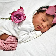 Sianni is registered to the contest to win money with this photo: baby, newborn, sleeping, pink_bow, pink_rose, white_blanket, white_clothing, infant, cute, peaceful, portrait, soft_texture, headband, knitted_pants, resting, closeup, child, adorable, flower, sleep