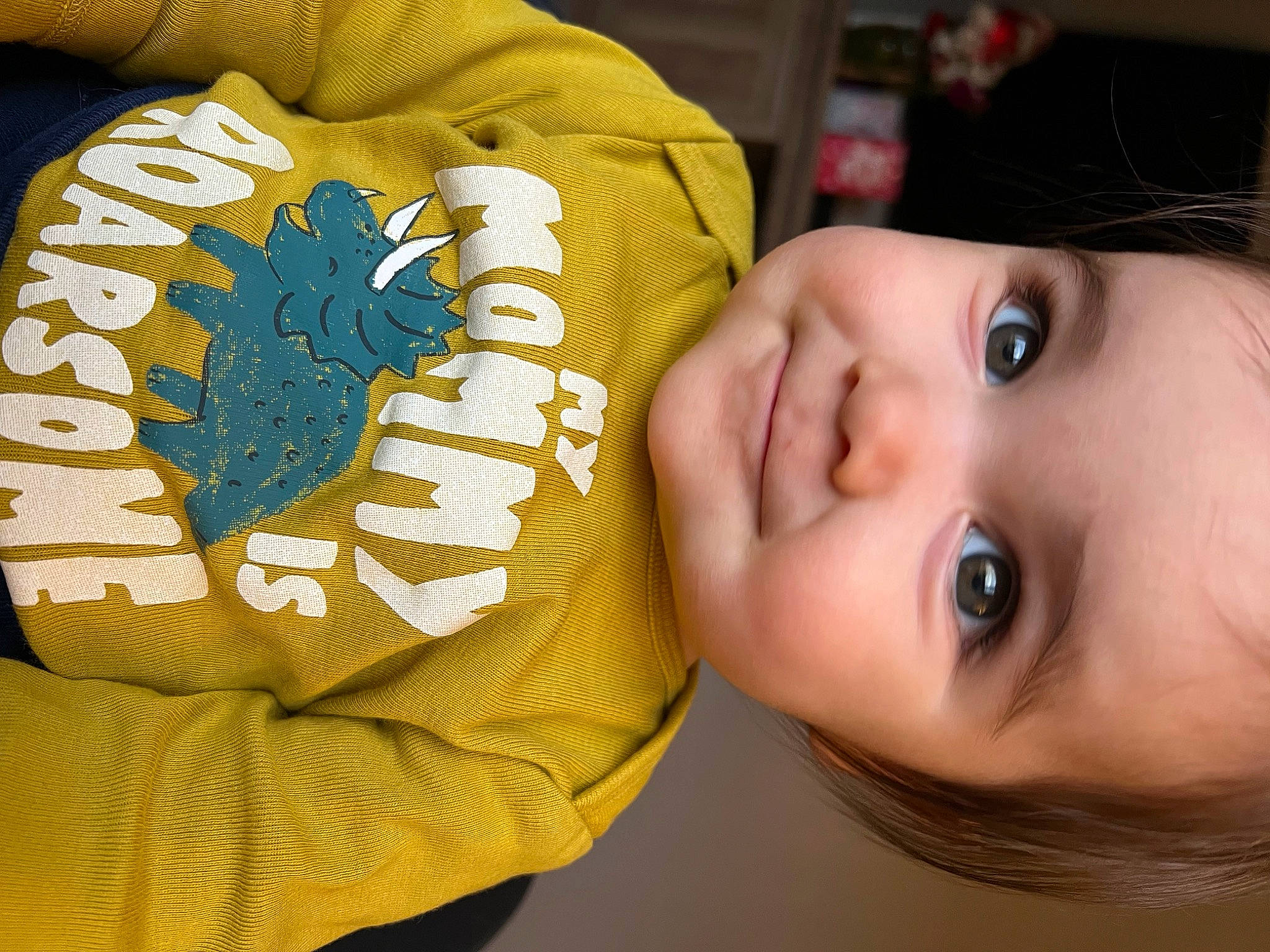 Isabell joined the competition — help win amazing prizes! baby, baby_toddler_clothing, cheek, child, elbow, eye, eyelash, fun, gesture, happy, human, nose, person, plant, portrait_photography, skin, sleeve, toddler, tree, wrist