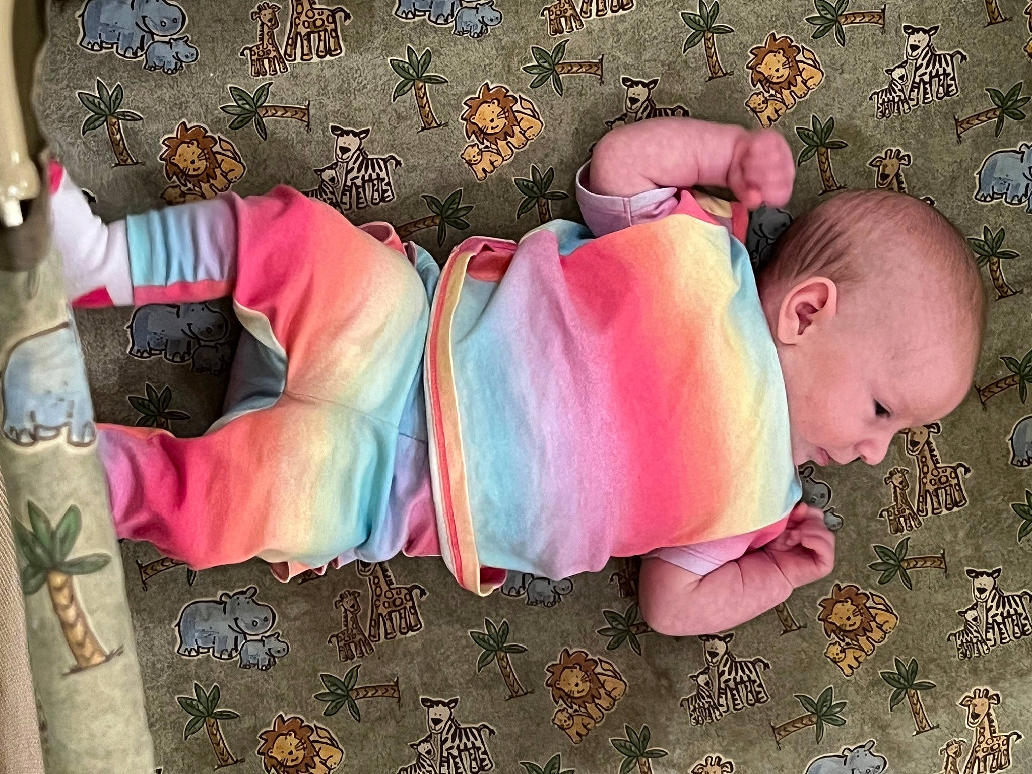 Sofia joined the competition — help win amazing prizes! arm, baby, baby_products, baby_sleeping, baby_toddler_clothing, child, comfort, happy, human_body, linens, magenta, pattern, person, pink, room, sitting, sleeve, thigh, toddler, tree