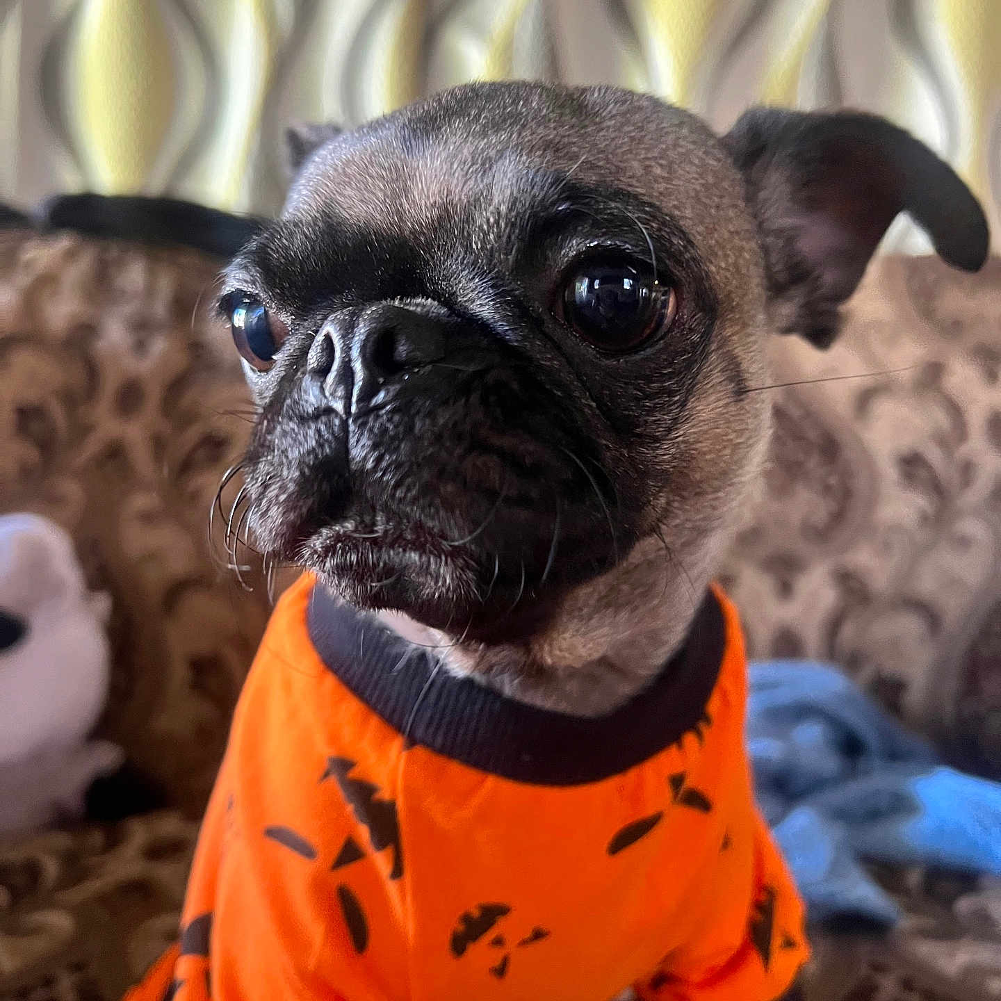 Pookies