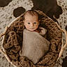 newborn, baby, infant, basket, blanket, swaddled, knitted, cozy, texture, brown, spot_pattern, floor, indoor, portrait, cute, wide_eyes, soft_lighting, resting, small, warm_tones