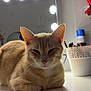 cat, ginger_cat, indoor, vanity_mirror, mirror_lights, makeup_brushes, container, white_surface, relaxed, pet, feline, ears, whiskers, face, table, cosmetics, decor, still_life, closeup, animal