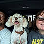 man, woman, dog, child, car_interior, seatbelt, glasses, smile, white_dog, leather_collar, peace_sign, short_hair, casual_clothing, daylight, road_trip, happy, family, portrait, vehicle, candid
