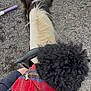 Angelina Queen is registered to the contest to win money with this photo: dog, horse, animal, riding, plaid_bandana, black_fur, white_horse, gravel, outdoor, pet, mammal, equine, canine, mane, equestrian, leisure, fur, head, back, rider