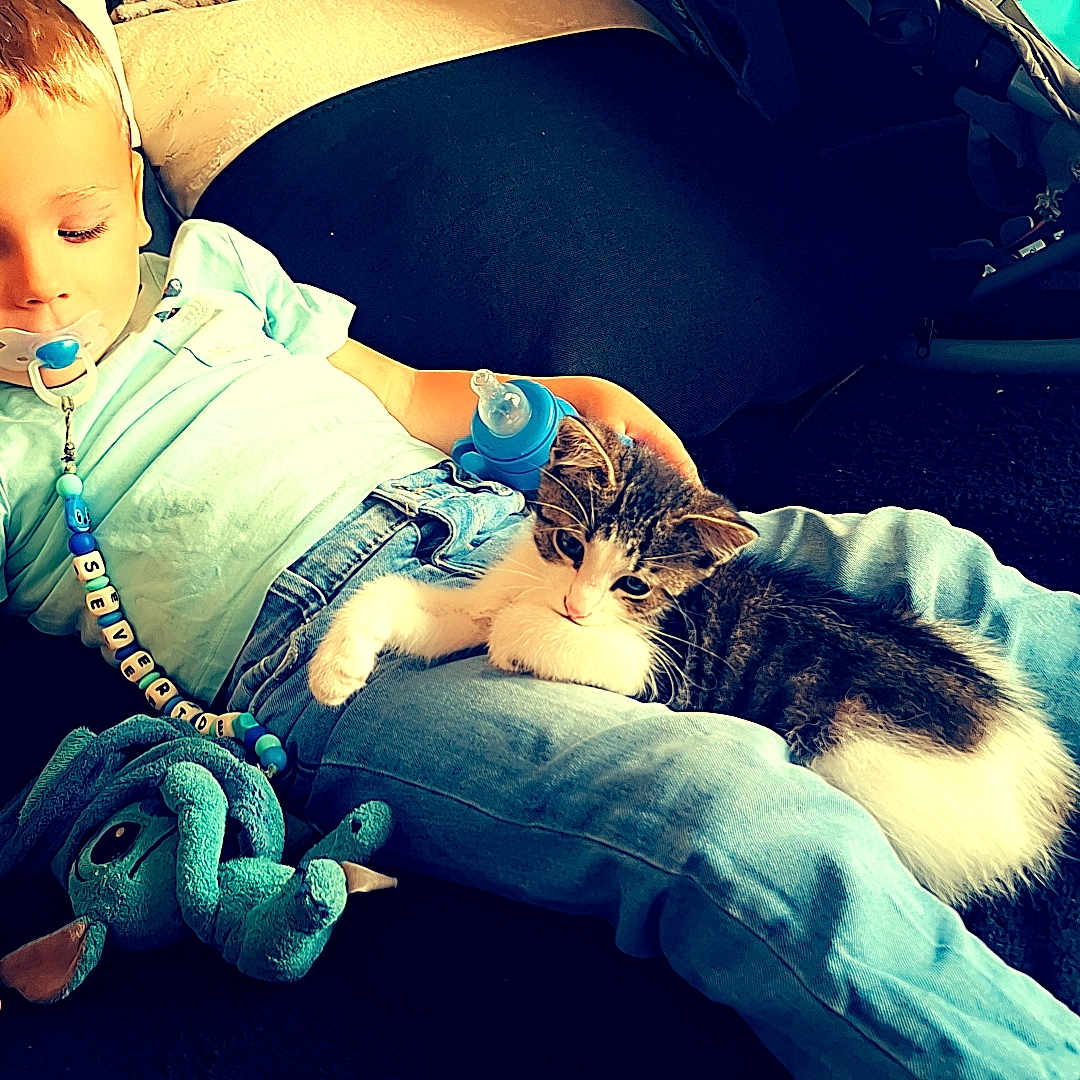 Severide a rejoint le concours — aidez-le/la à gagner de superbes lots ! baby, blanket, blue_clothing, child, comfort, couch, cute, furniture, home, indoor, jeans, kitten, pacifier, pet, plush_toy, relaxing, resting, sleepy_cat, toy, young_child