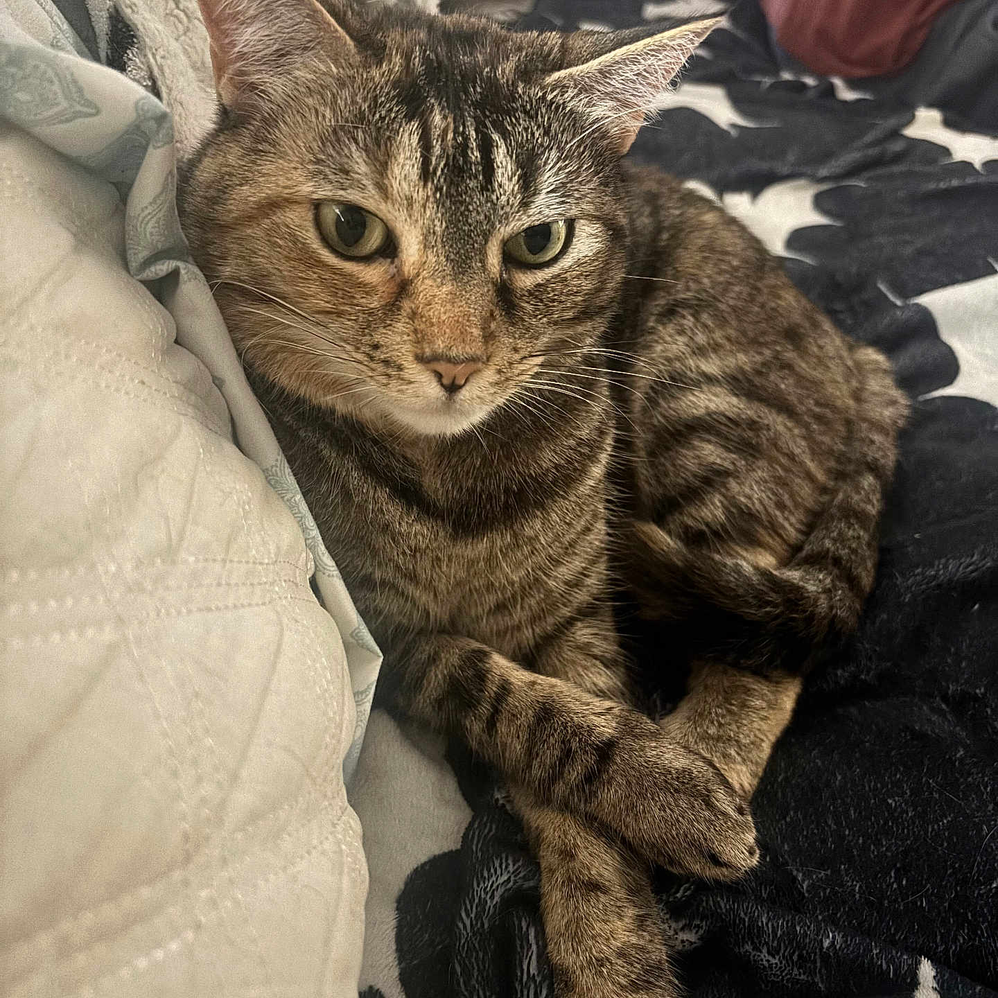 Zoey