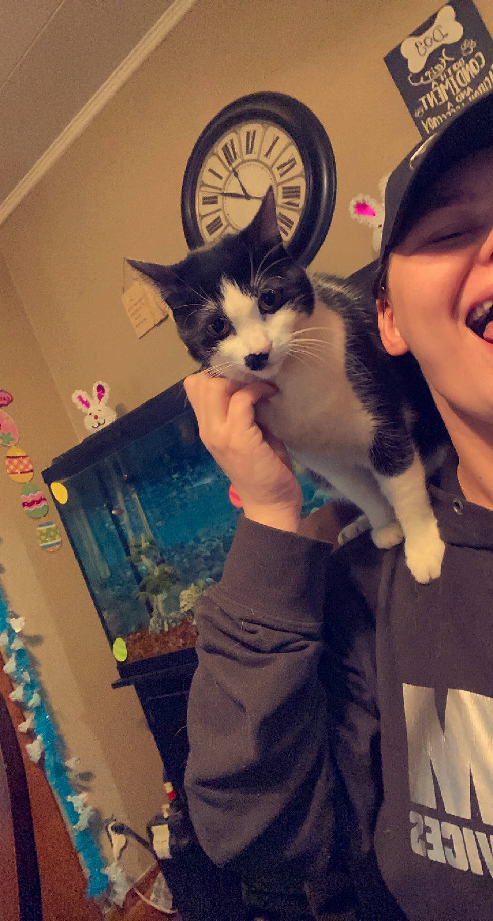 Katniss joined the competition — help win amazing prizes! baseball_cap, carnivore, cat, cool, domestic_short_haired_cat, ear, eyewear, felidae, formal_wear, fun, fur, gesture, happy, iris, organ, shoulder, small_to_medium_sized_cats, t_shirt, textile, whiskers