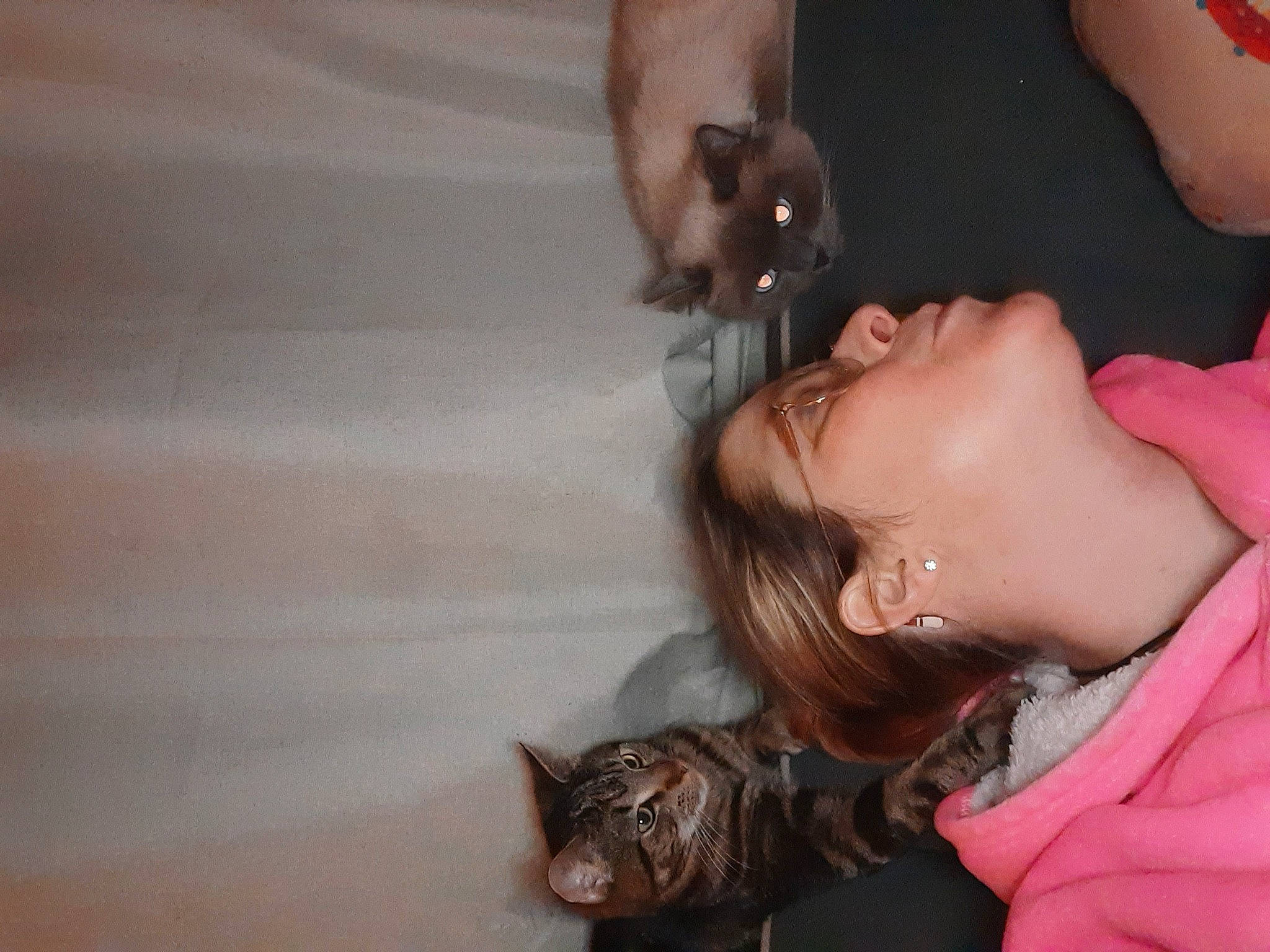 Snowball Alias Yaya a rejoint le concours — aidez-le/la à gagner de superbes lots ! black_hair, carnivore, cat, comfort, ear, eyelash, fawn, felidae, hair, hairstyle, happy, long_hair, mouth, nose, skin, small_to_medium_sized_cats, textile, tree, whiskers, wood