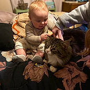 Pepper is registered to the contest to win money with this photo: baby, cat, hand, bed, blanket, indoor, person, child, furniture, animal, cozy, curious, tabby_cat, soft_lighting, warm_colors, interaction, caring, human_animal_bond, cute, relaxed