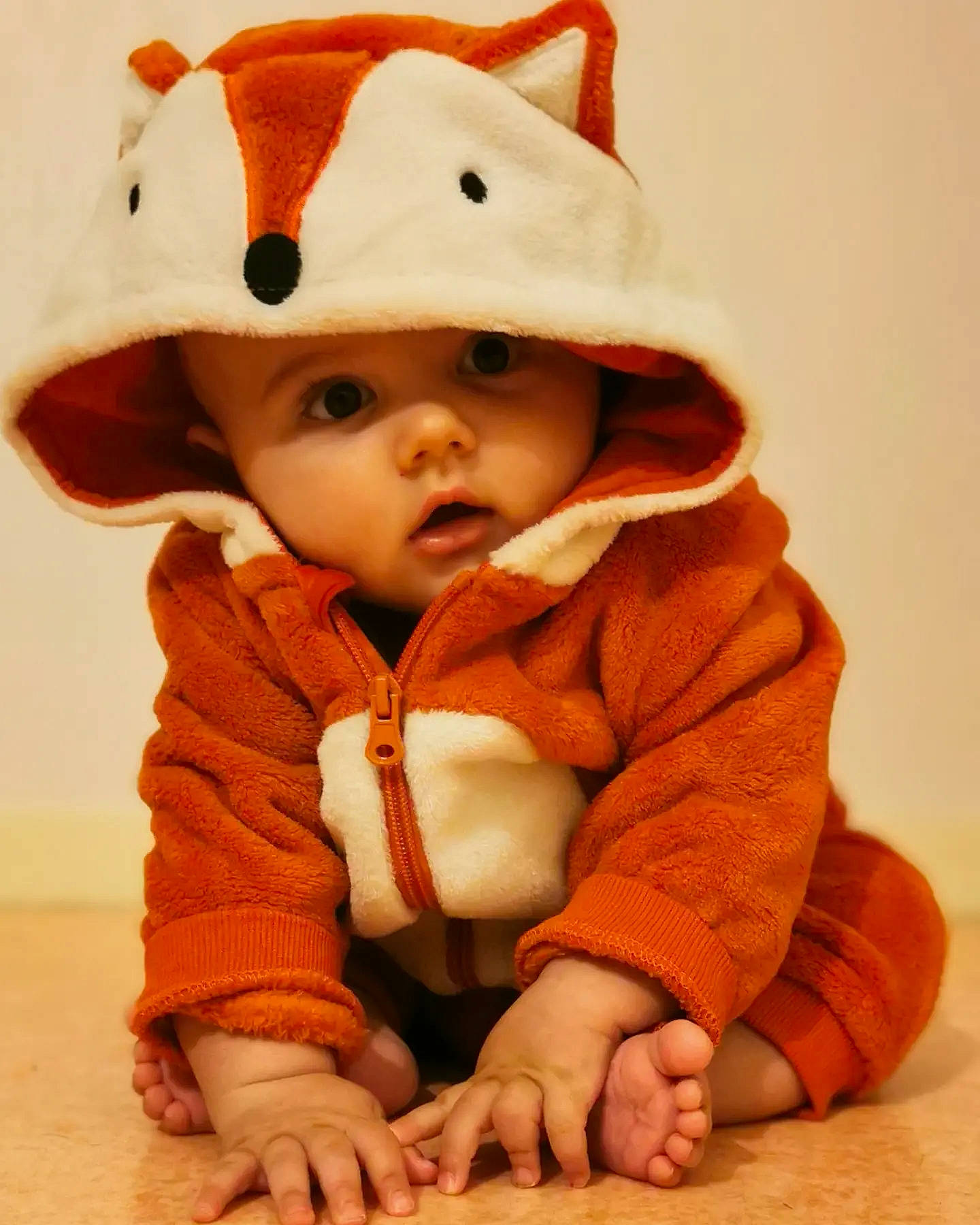 Ewen a rejoint le concours — aidez-le/la à gagner de superbes lots ! baby, baby_toddler_clothing, cap, carmine, cheek, child, collar, comfort, costume_hat, face, fashion_accessory, flooring, fur, happy, headgear, headwear, outerwear, peach, person, sitting