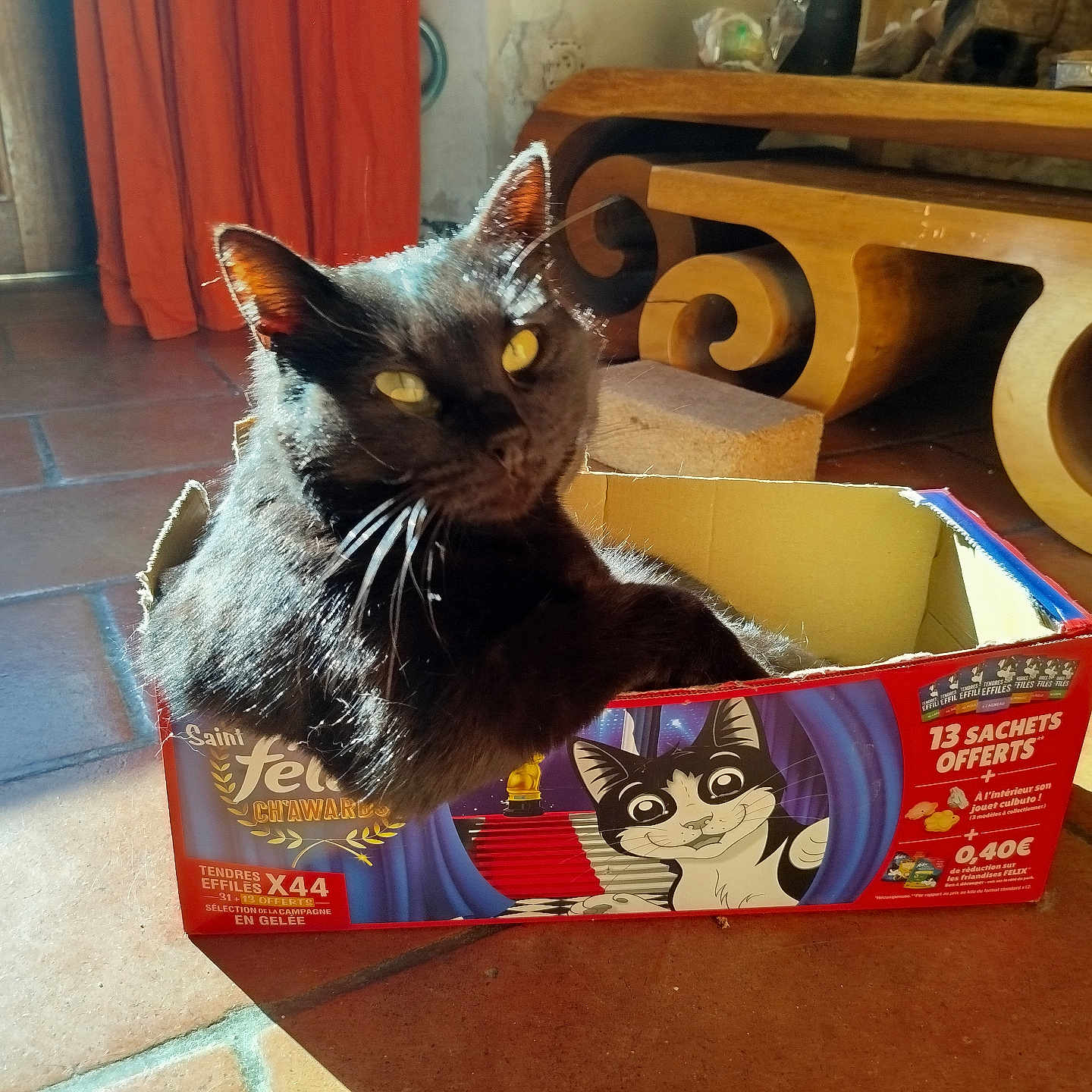 Mimine a rejoint le concours — aidez-le/la à gagner de superbes lots ! abyssinian, animal, blackcat, box, cardboard, carton, cat, computer, electronics, food, hardwood, indoors, kitten, laptop, manx, pc, pet, plywood, text, wood