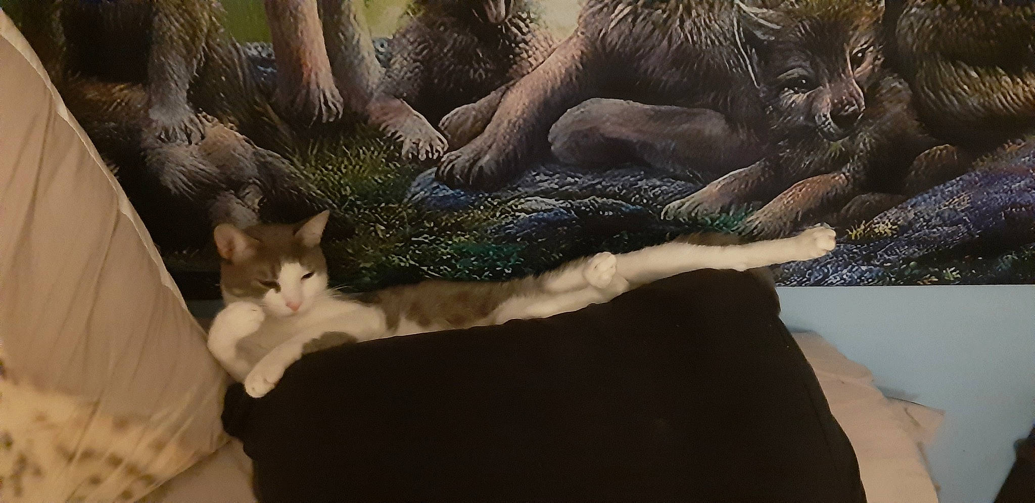 Tora participe au concours pour gagner de l'argent avec cette photo : art, big_cats, carnivore, cat, comfort, domestic_short_haired_cat, fawn, felidae, fur, grey, lion, painting, plant, small_to_medium_sized_cats, snout, tail, terrestrial_animal, tree, whiskers, wood