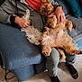 affection, beard, black_socks, blue_couch, casual_clothing, couch, dog, glasses, gray_hoodie, green_pants, home, indoor, lap, man, orange_shirt, pet, relaxing, sitting, two_dogs, wooden_floor