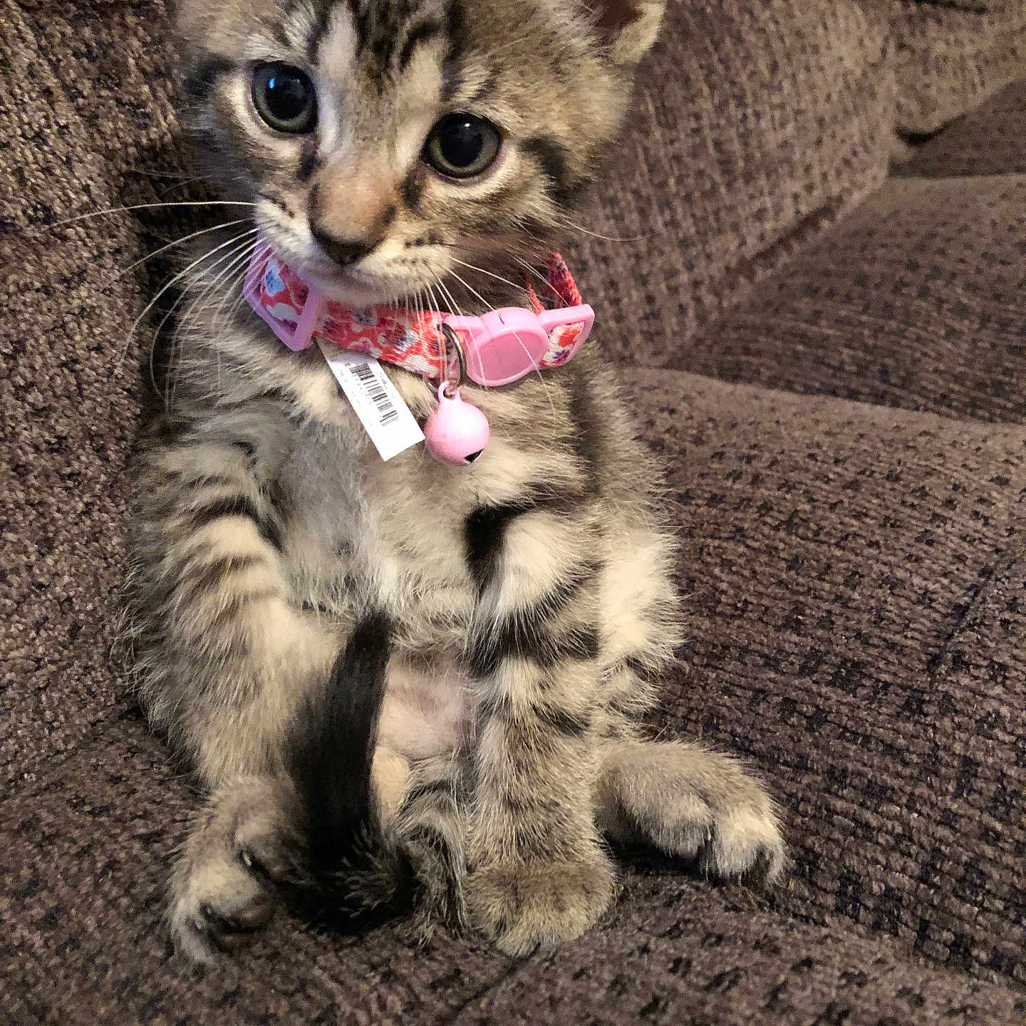 Tink