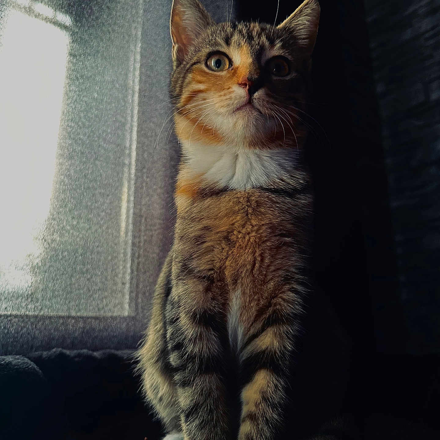 Kenaï