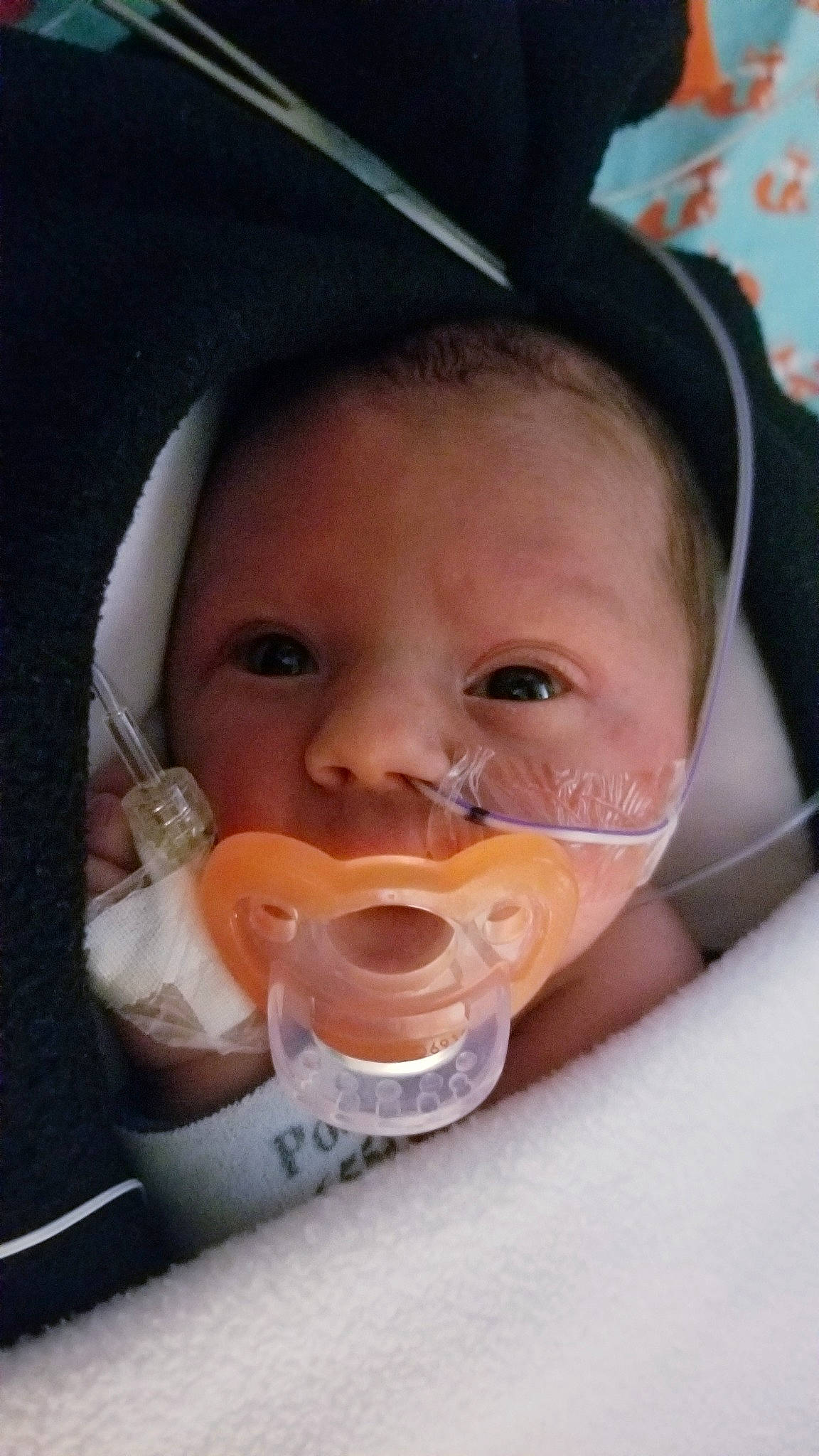 Jesco joined the competition — help win amazing prizes! cheek, child, chin, ear, face, head, infant, lip, mouth, nose, person, product, toddler