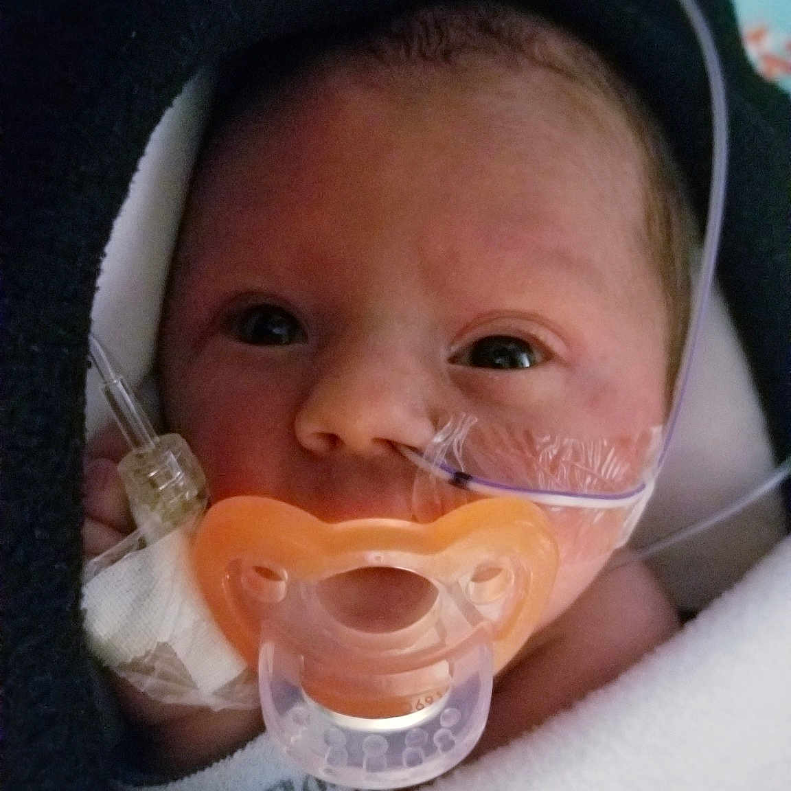 Jesco joined the competition — help win amazing prizes! cheek, child, chin, ear, face, head, infant, lip, mouth, nose, person, product, toddler