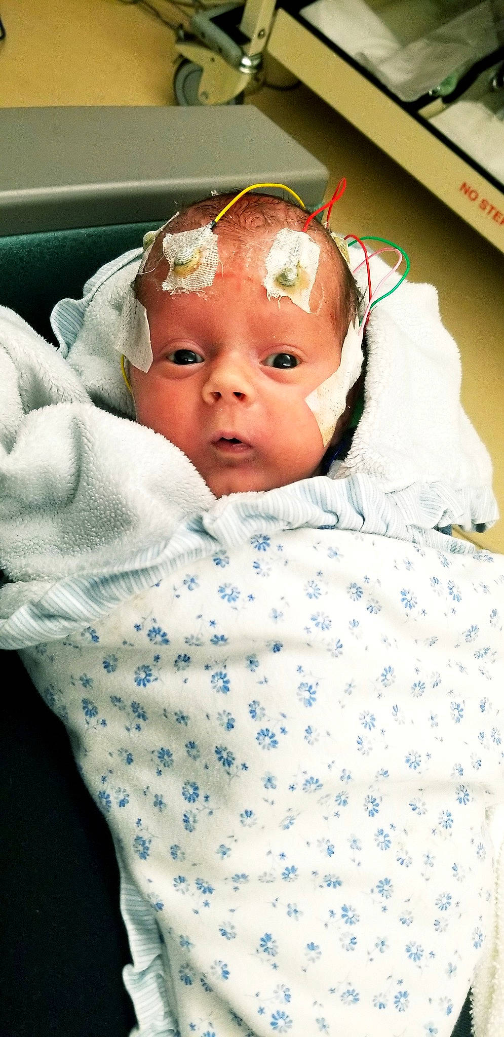 Jesco joined the competition — help win amazing prizes! beauty, boy, cheek, child, eye, face, fun, girl, head, human, infant, material, nose, person, product, skin, smile, textile, toddler