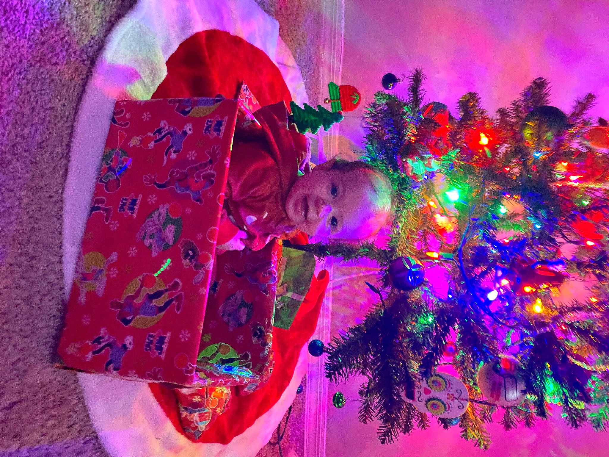 Eli is registered to the contest to win money with this photo: christmas_decoration, christmas_ornament, christmas_tree, conifer, decoration, event, evergreen, fun, holiday, holiday_ornament, magenta, organism, ornament, person, pink, plant, purple, tradition, tree, violet