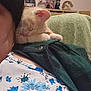 kitten, sleeping, shoulder, person, floral_shirt, green_jacket, indoor, cozy, furniture, decorations, shelf, home, cute, young_cat, resting, animal, pet, fur, close_up, relaxation